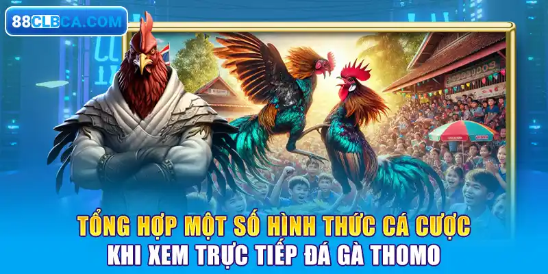 Tổng hợp một số hình thức cá cược khi xem trực tiếp đá gà Thomo 