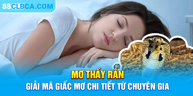 Mơ Thấy Rắn - Giải Mã Giấc Mơ Chi Tiết Từ Chuyên Gia