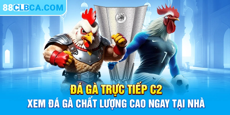 Đá Gà Trực Tiếp C2 - Xem Đá Gà Chất Lượng Cao Ngay Tại Nhà