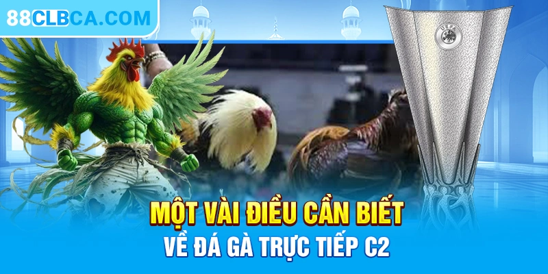 Một vài điều cần biết về đá gà trực tiếp C2