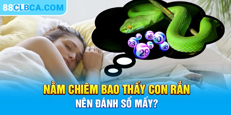 Nằm chiêm bao thấy con rắn nên đánh số mấy?