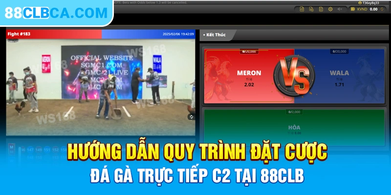 Hướng dẫn quy trình đặt cược đá gà trực tiếp C2 tại 88CLB